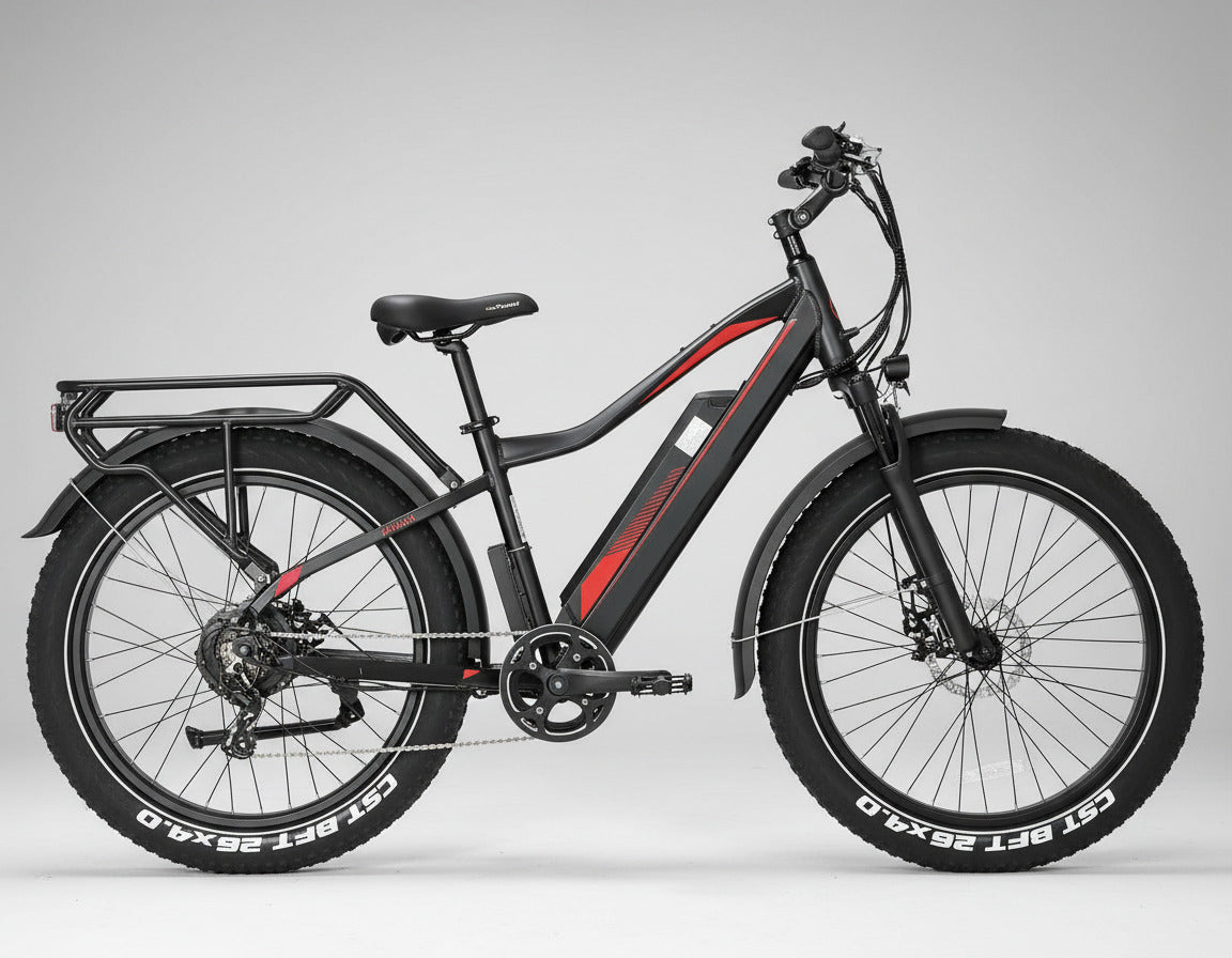 FatBoy - Test Drive @ Home(Hamburg only)