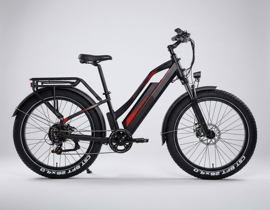 FatBoy - Test Drive @ Home(Hamburg only)