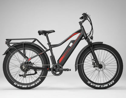 FatBoy - Test Drive @ Home(Hamburg only)