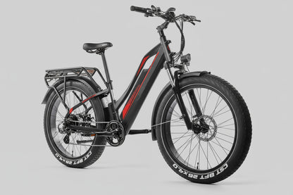 FatBoy - Test Drive @ Home(Hamburg only)