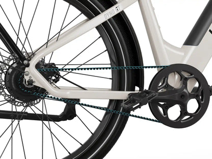 Transporter - Test Drive @ Home(Hamburg only)