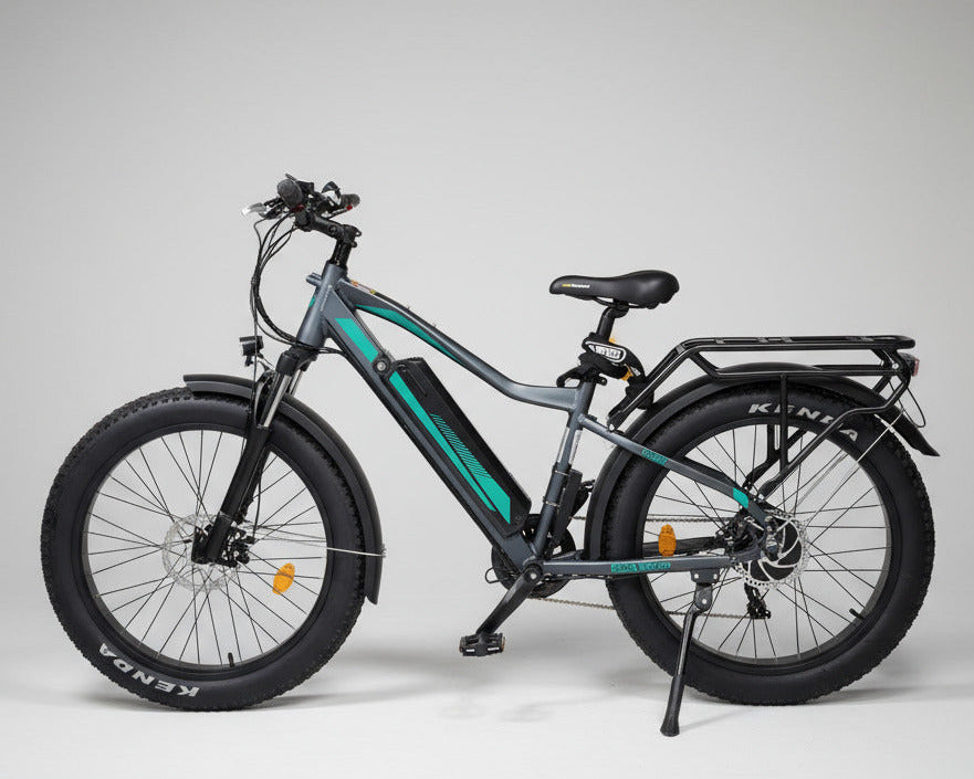 FatBoy - Test Drive @ Home(Hamburg only)