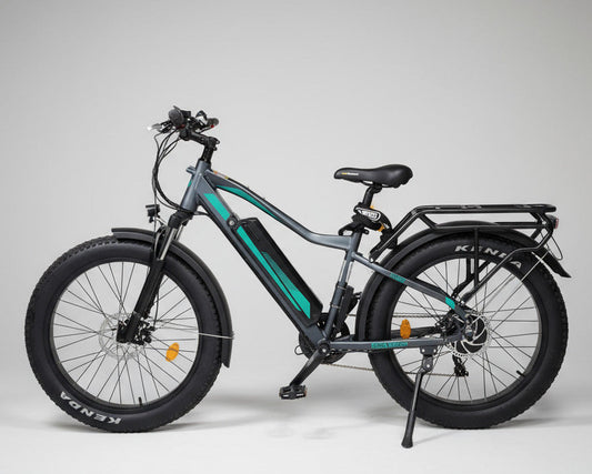 FatBoy - Test Drive @ Home(Hamburg only)